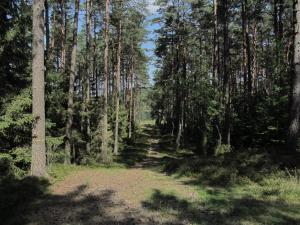 Domek Smerfna Chatka