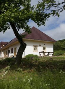 Vakantiehuis Huize Zwaluw - Lastovicka Plie&scaron;ovce Slowakije