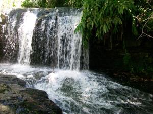 Espaço Holístico Chalés