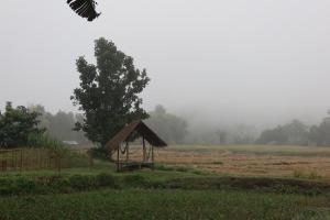 The Countryside Pai