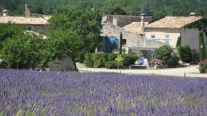 Maisons de vacances Gite de caractere au pied du Mont Ventoux avec piscine couverte : photos des chambres