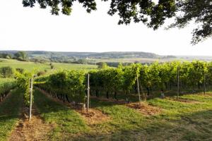 Hotel Restaurant The Kings Head Inn