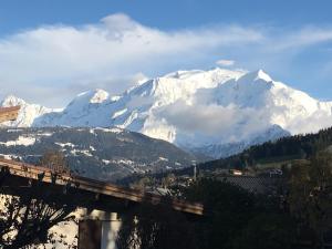 Appartements Vue Mont Blanc et toute la chaine : photos des chambres