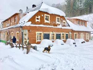 Penzion pension U Jiřího Ludvíkov Česko