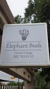 Elephant Bush Guest Cottage