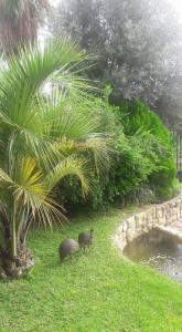 AFRICAN DREAMS GUESTHOUSE