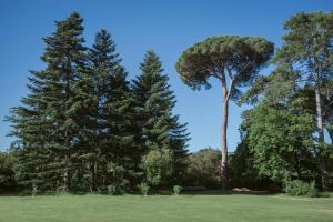 Hotels Chateau de Montcaud : photos des chambres