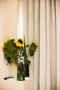 Central apartment Downtown