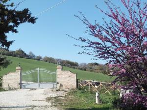 Appartamento con Vista Giardino
