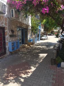 Boynuz Ağacı pansiyon