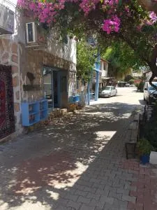 Boynuz Ağacı pansiyon - Davazlar