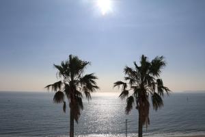 Mykonos Resort Miura Vacation STAY 62208