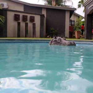 AFRICAN DREAMS GUESTHOUSE