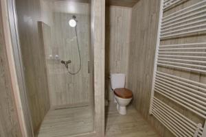 Family Room room in PENZION HARRY na sjezdovce KRKONOŠE