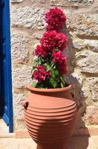 Marina Castellana Studios Halki-Island Greece