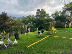 ALOJAMIENTO MI TESORITO