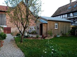 Quetsche et mirabelle photo 18