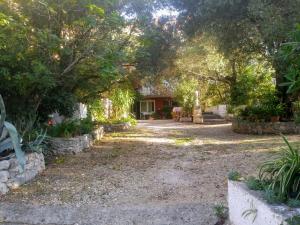 Apartment Marija - garden terrace