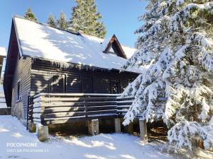 Apartmán Tree Top Rogla Apartment Zreče Slovinsko