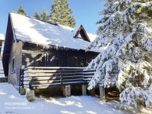 Tree Top Rogla Apartment - Hudinja