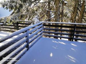 Tree Top Rogla Apartment