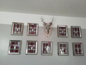 Argyle Guest House
