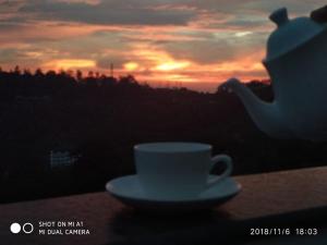 Chandys Windy Woods Munnar