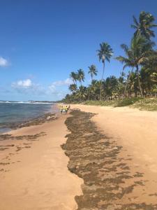 Beach Class Muro Alto