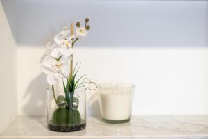 Living Bairro Alto V