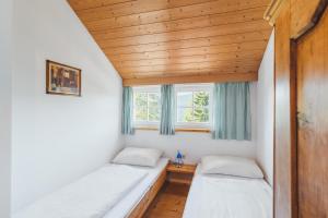 Alpine Cabin