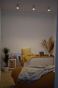 VOYA Apartments - a luxury oasis in the old town