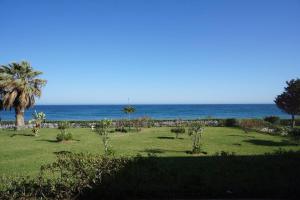 One-Bedroom Apartment room in Jardines del Mar