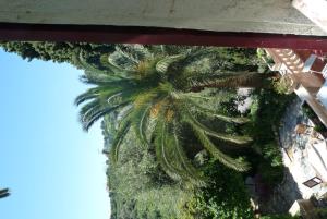 B&B / Chambres d'hotes Castel Enchante : photos des chambres
