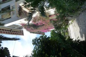 B&B / Chambres d'hotes Castel Enchante : photos des chambres