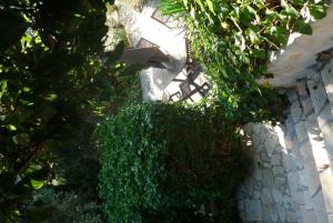 B&B / Chambres d'hotes Castel Enchante : photos des chambres