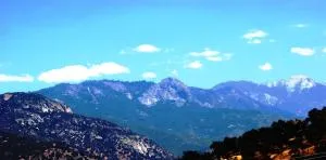 Shady Knoll - 红杉国家公园