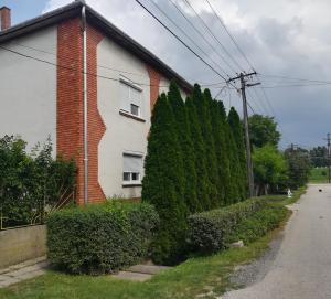 Örökzöld Apartman Szeged