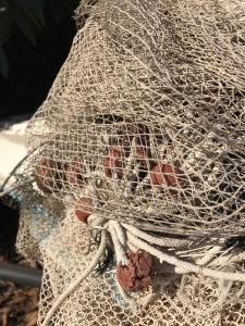 40° Parallelo Guest House img70