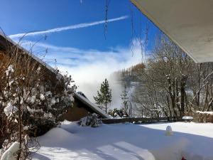 Chalets Chalet Martine : photos des chambres