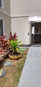 Plaza Fraga Maia