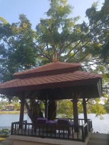 laguna waters 悦榕庄 拉古纳