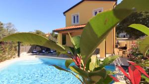 Beautiful villa Mugeba II with pool near the aquapark in Porec 