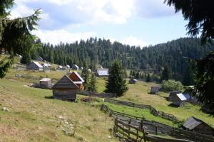 Pensiunea Aurora Albac