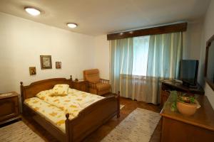 Pensiunea Aurora Albac