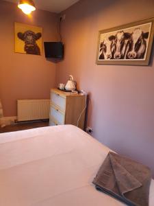 Mad ORourkes Pie Factory