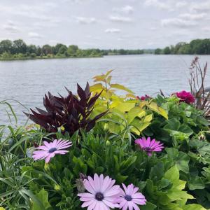 Maisons d'hotes Au Rez de Jardin : photos des chambres