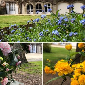 Maisons d'hotes Au Rez de Jardin : photos des chambres