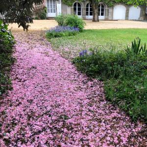 Maisons d'hotes Au Rez de Jardin : photos des chambres