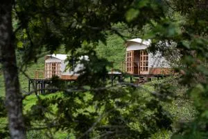 Birdglamping Los Arboles Glamping Hotel - Leona