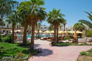 Amphoras Aqua Adults Friendly